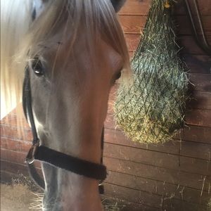 Meet your Posher, Kellie